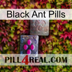 Black Ant Pills 38